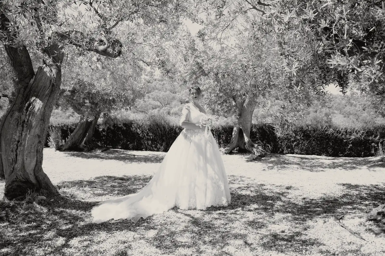 La sposa sola fra gli ulivi, piccola nella luce del primo pomeriggio, l’ombra degli alberi sulla ghiaia.